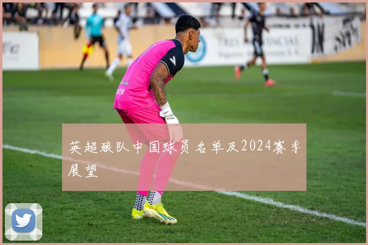 英超狼队中国球员名单及2024赛季展望