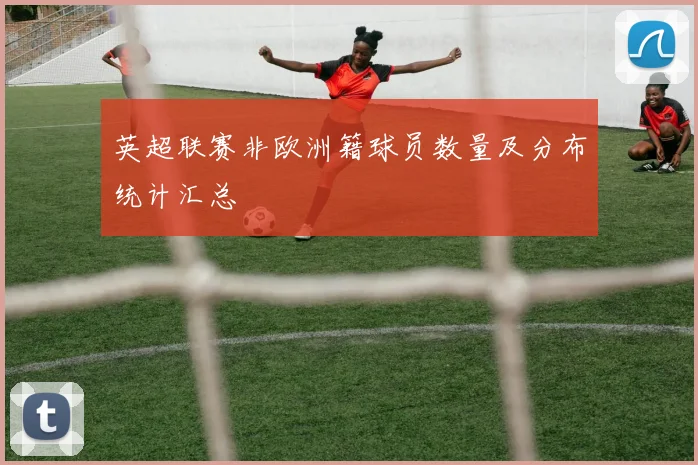 英超联赛非欧洲籍球员数量及分布统计汇总
